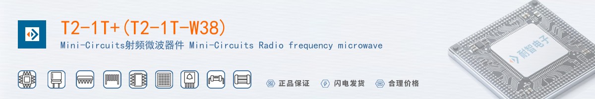 T2-1T+(T2-1T-W38)������