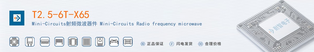 T2.5-6T-X65������