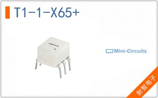 T1-1-X65+
