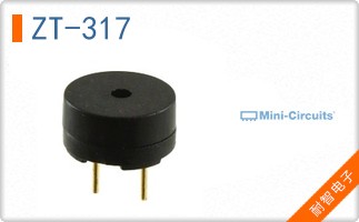 ZT-317